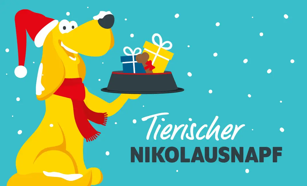 Weihnachtsaktion Nikolaus-Napf