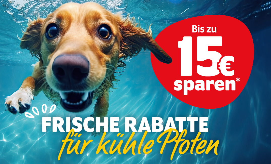 Frische Rabatte für kühle Pfoten: Bis zu 15€ sparen mit Kundenkonto - Einloggen & sparen