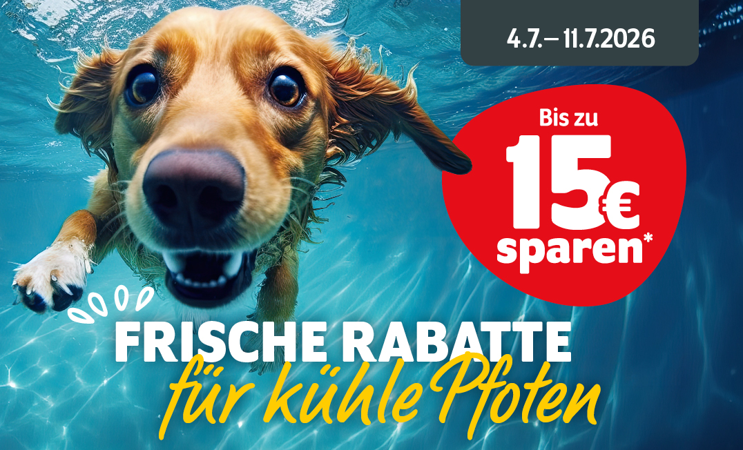 Frische Rabatt für kühle Pfoten: Bis zu 15€ sparen bis zum 11.7.2026