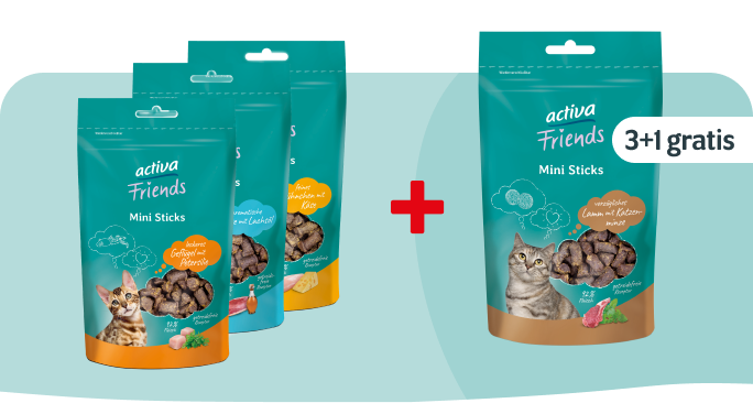 Beim Kauf von 3 activa Friends Mini-Sticks erhalten Sie einen gratis dazu.