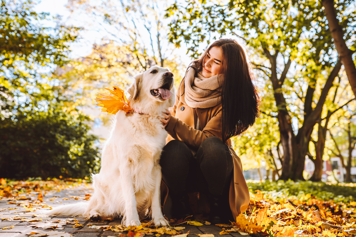 Eine Frau schaut einen Golden Retriever an, sie sitzen im herbstlichen Laub.