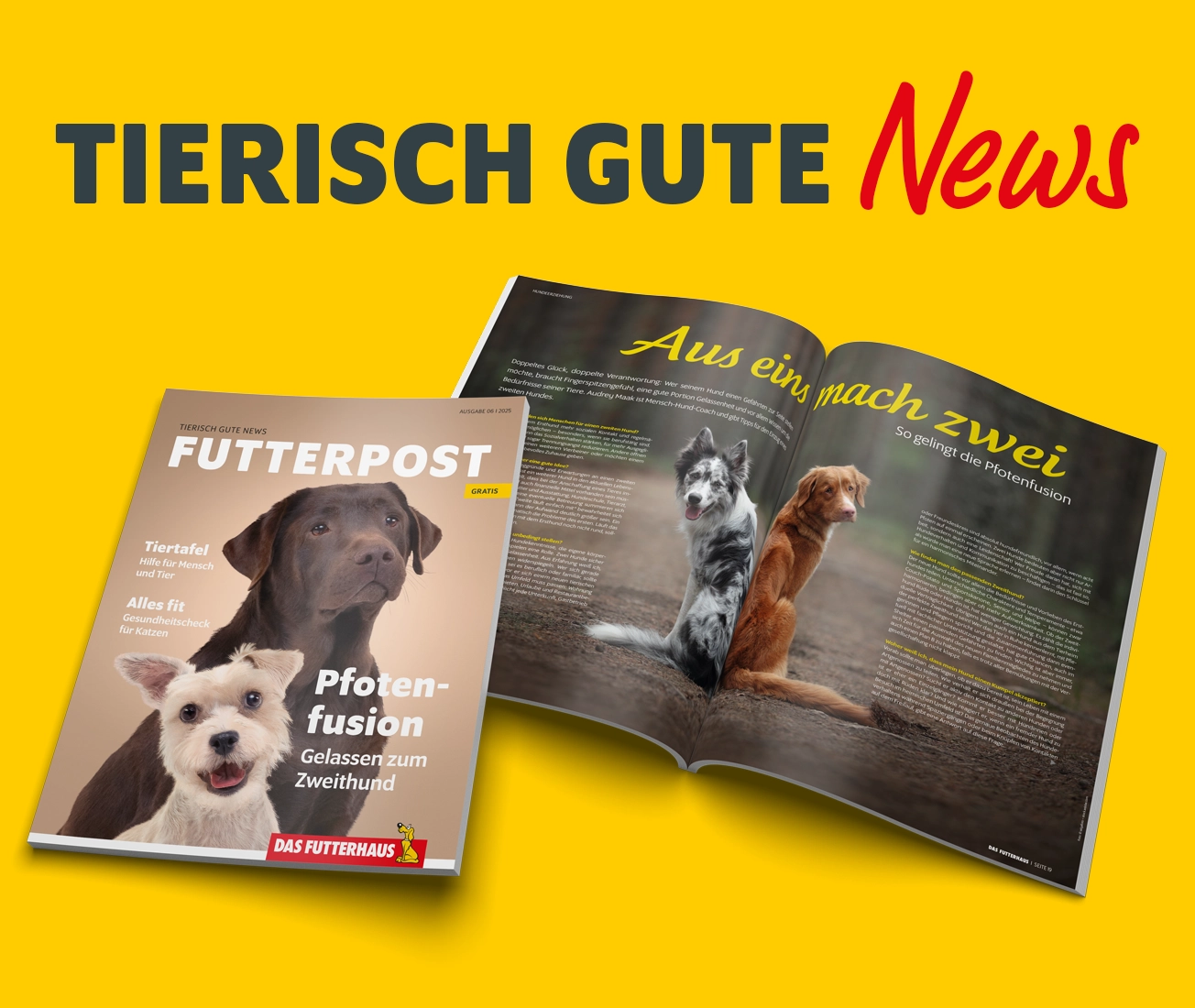FUTTERPOST Ausgabe 06|2025