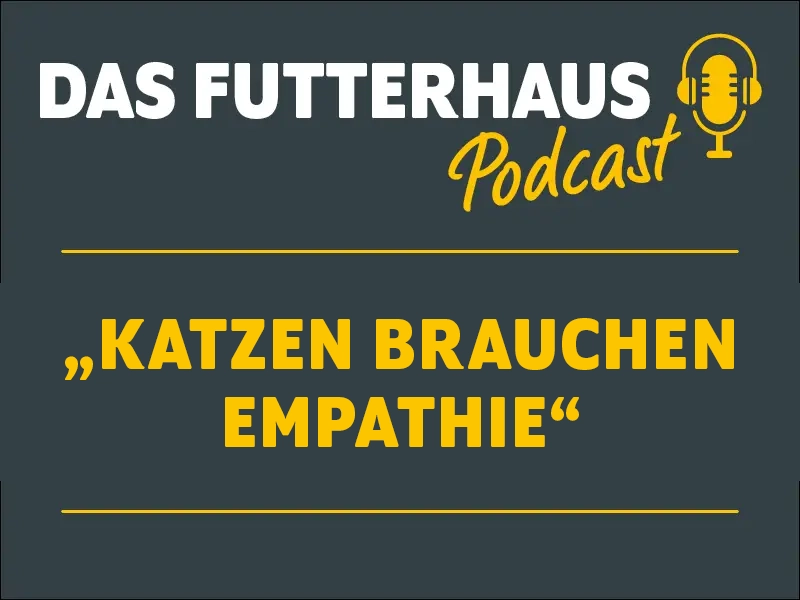 Podcast Folge 24: Katzen brauchen Empathie